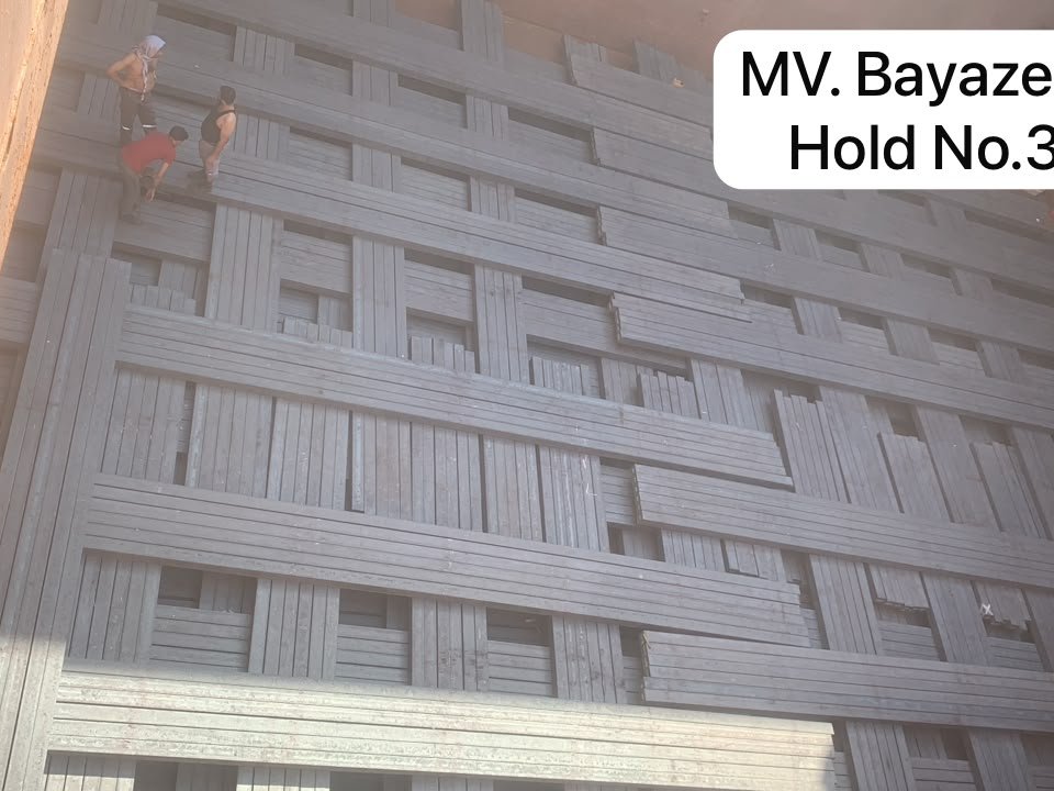 mv Bayaze D Hold No.3
